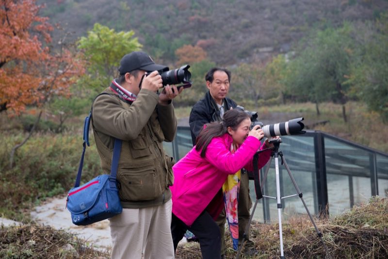记者摄影家走进房山金祖山风景区釆风