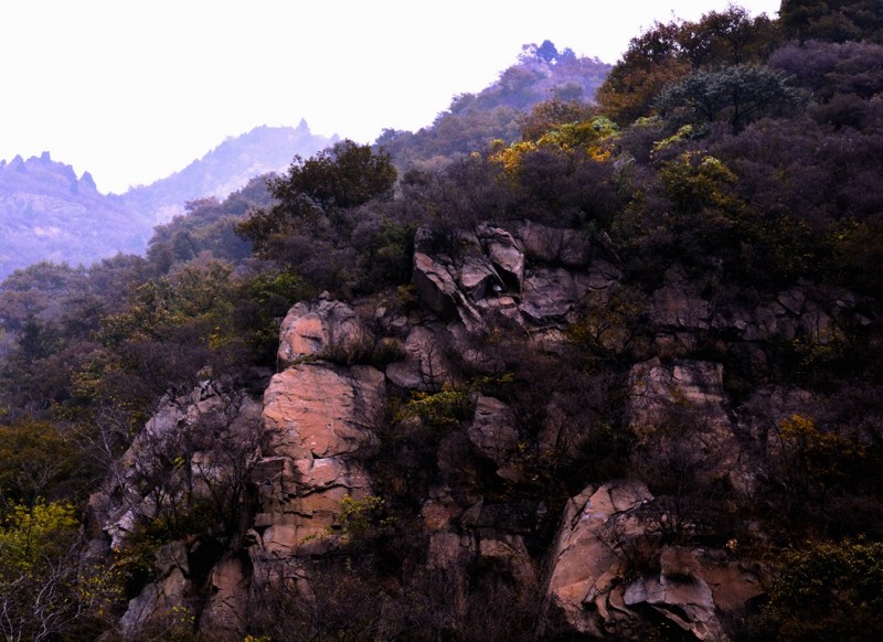 记者摄影家走进房山金祖山风景区釆风