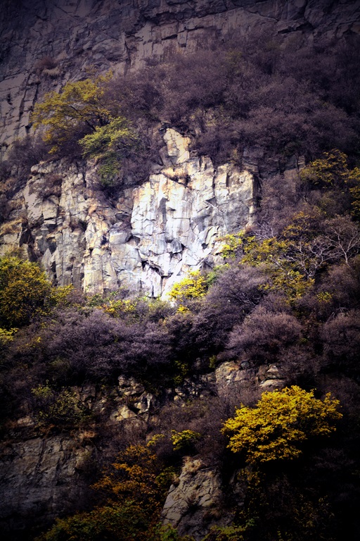 记者摄影家走进房山金祖山风景区釆风