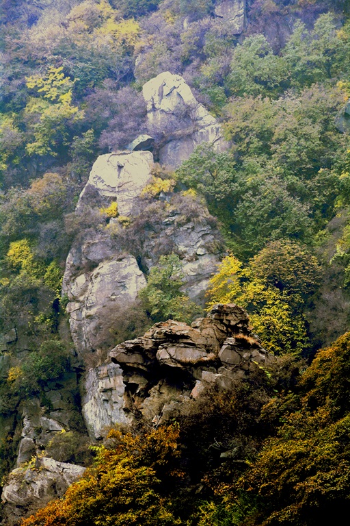 记者摄影家走进房山金祖山风景区釆风