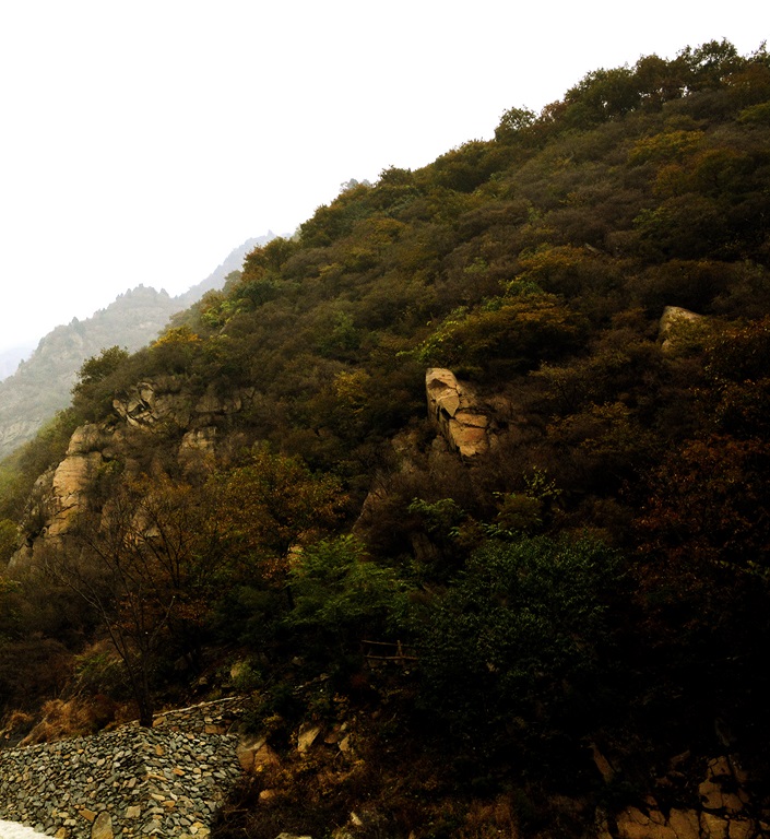 记者摄影家走进房山金祖山风景区釆风