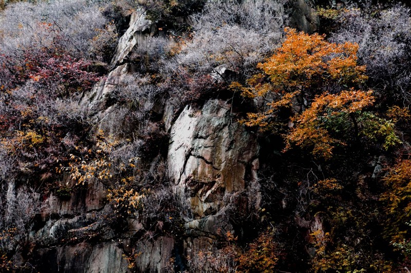 记者摄影家走进房山金祖山风景区釆风