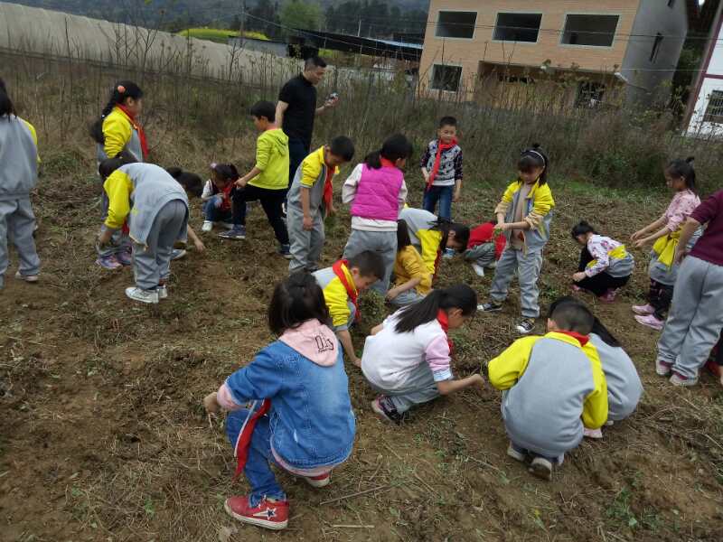 贵州遵义市十七小教学活动贴近生活