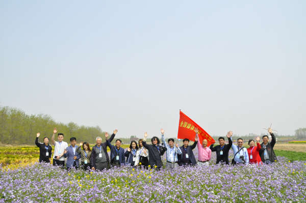 以槐为媒，约你一起遇见美丽孤岛