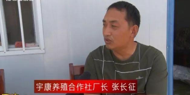 大仵乡刘楼村这几位村民了不得，仅靠养鸭一个月效益就达四五十万元！