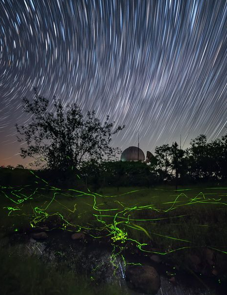 多地进入萤火虫观赏季 萤光与星空共舞