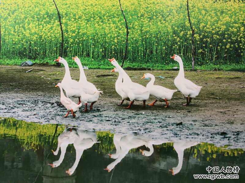 诗词颂中华，丹心映山河——著名诗人、摄影家孙兵先生风采录