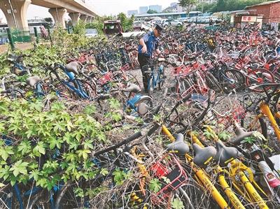 大兴三千被暂扣共享单车无人认领 有的车辆已经被植物缠绕