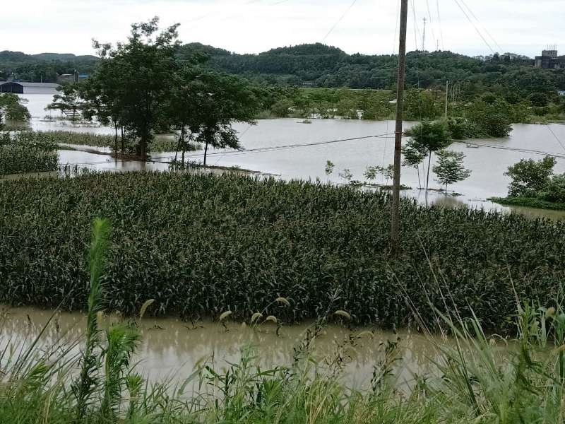 面对七十年不遇洪灾：绵阳民政抗洪抢险显身手