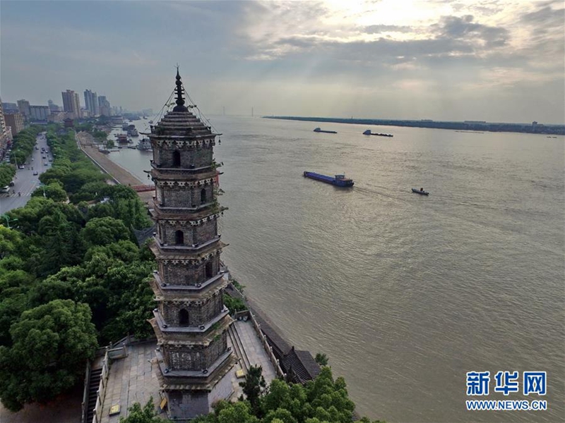 为了“一岸翠绿”——江西九江生态修复百里长江