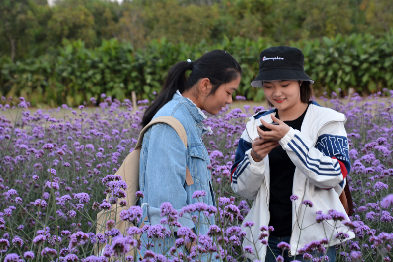 花美灯美人更美——金秋时节紫谷伊旬园