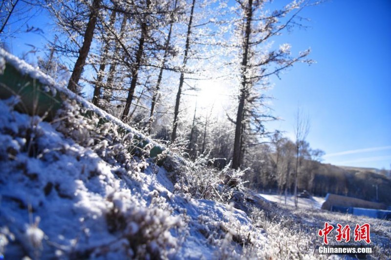 甘肃肃南雪后蓝天辉映雪地冰花