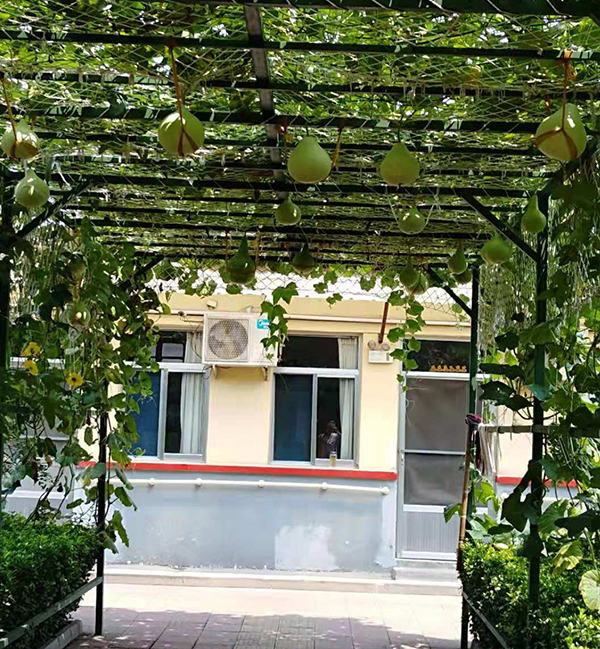 大爱无疆 奉献不止 ——敬老爱老模范李胜强