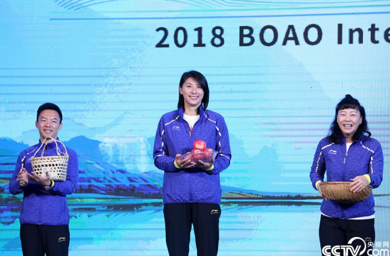 图说2018美丽乡村博鳌国际峰会开幕式