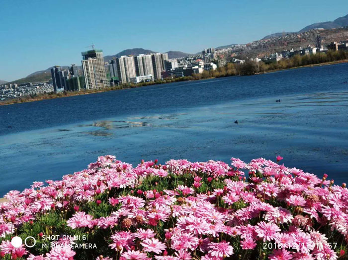 任彤手机拍——洱海