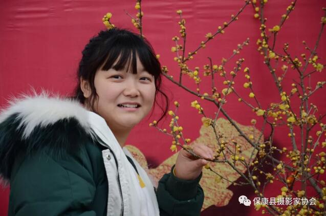 保康第三届蜡梅盆景艺术暨摄影展开幕