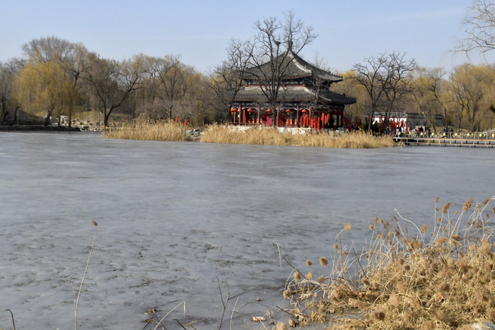 圆明园冬景——李月摄影