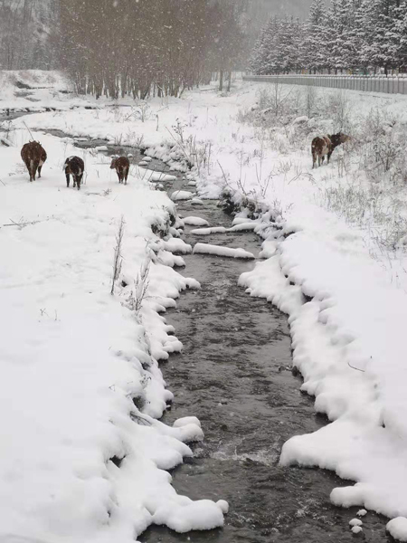 雪中五台山