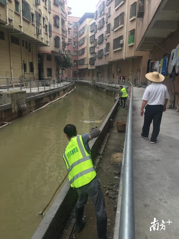 图为大山西涌整治后。