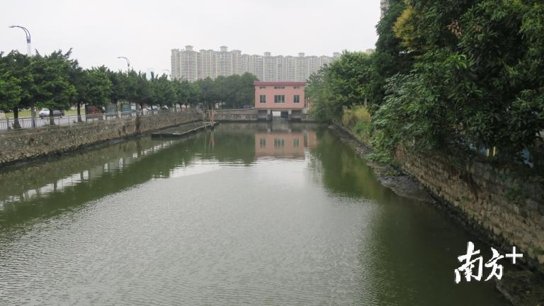 图为大山西涌整治后实景。