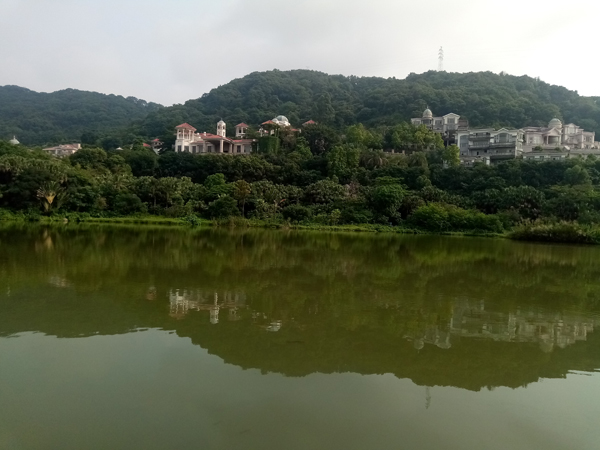 李月手机拍图——广州初印象