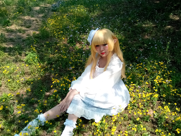 李月手机拍——绿森林里的小精灵