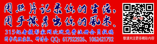 李月手机拍——绿森林里的小精灵