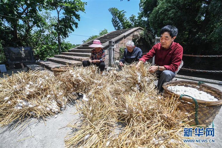 千年“丝绸之源”古村落焕发新活力