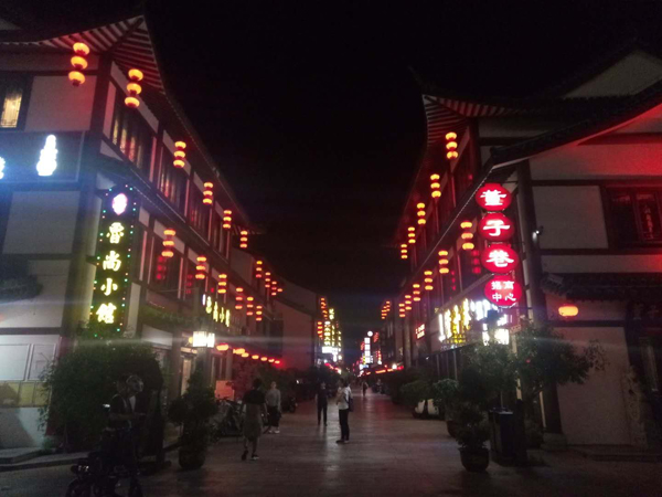 灯火辉煌夜——燕潮大桥与董子巷