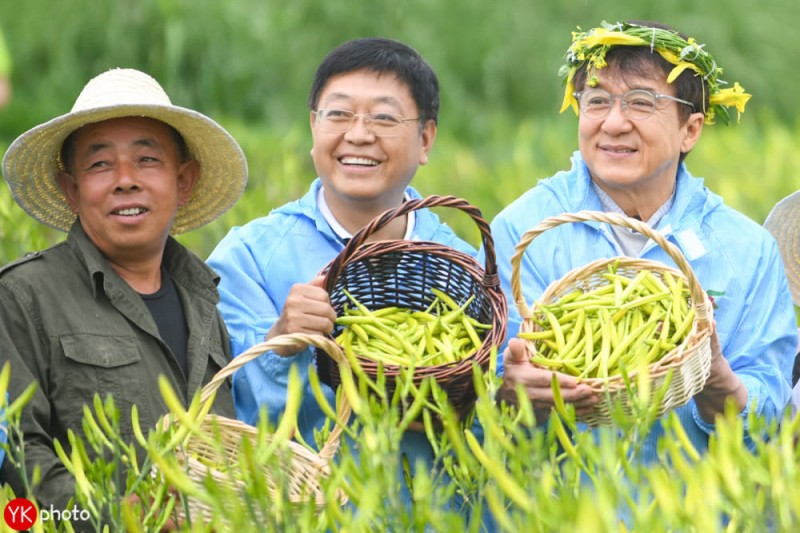 成龙扶贫，变身大同黄花代言人，还买了100万的黄花菜