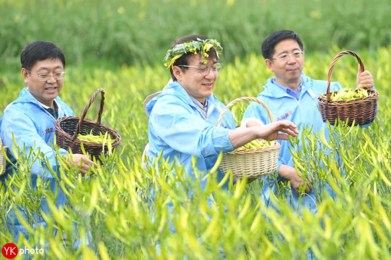 成龙扶贫，变身大同黄花代言人，还买了100万的黄花菜