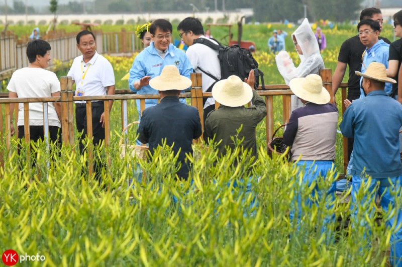 成龙扶贫，变身大同黄花代言人，还买了100万的黄花菜