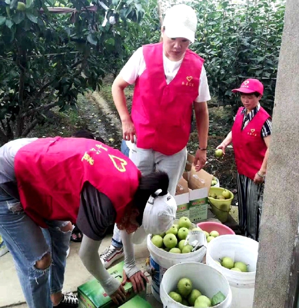 帮扶受伤果农渡难关 众善志愿者们在行动
