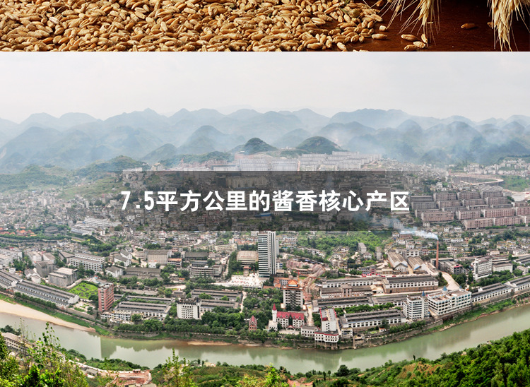 D-_冯云_白金金质酒-01_20
