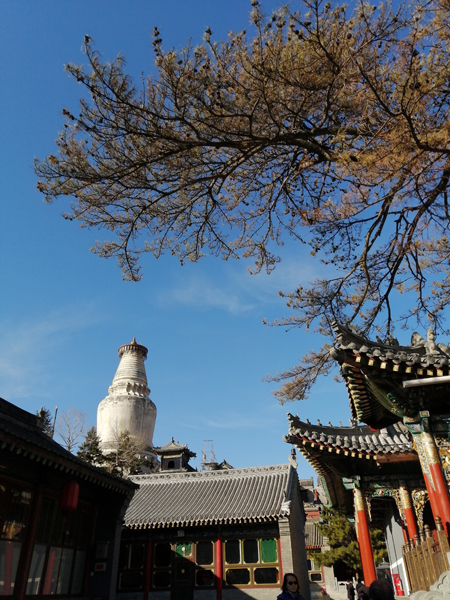 清凉时节重游清凉圣境——五台山