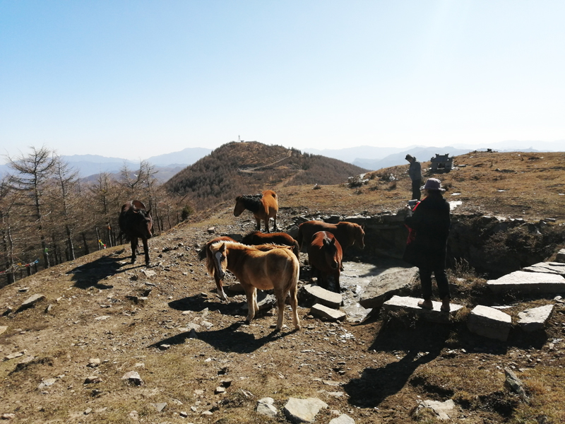 清凉时节重游清凉圣境——五台山