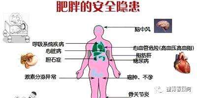 百病之源！肥胖的九大危害，你知道几个？