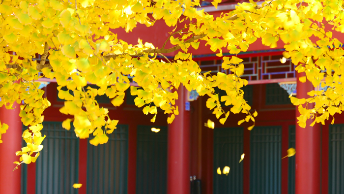 真觉寺金刚宝座塔