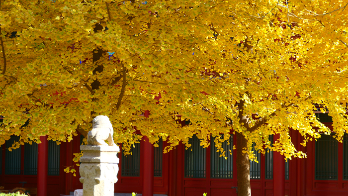 真觉寺金刚宝座塔