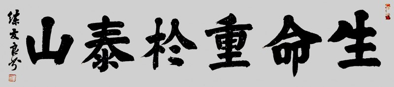 练友良书法作品——众志成城 抗击肺炎主题网络书画摄影展优秀作品