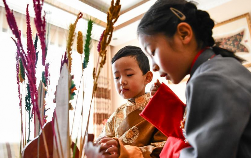 西藏各地欢度藏历新年