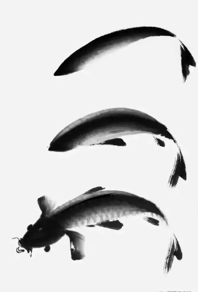 国画写意鲤鱼,金鱼的画法,一学就会!