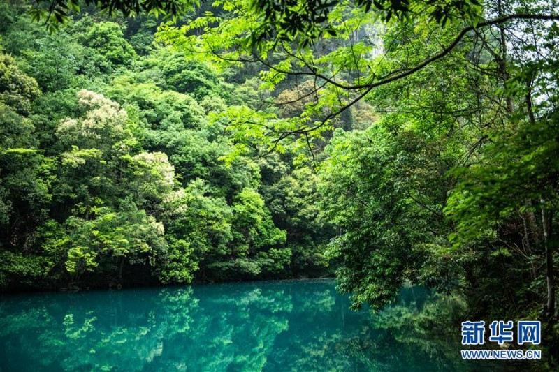 镜头带你走进贵州荔波小七孔 青山秀水春光美