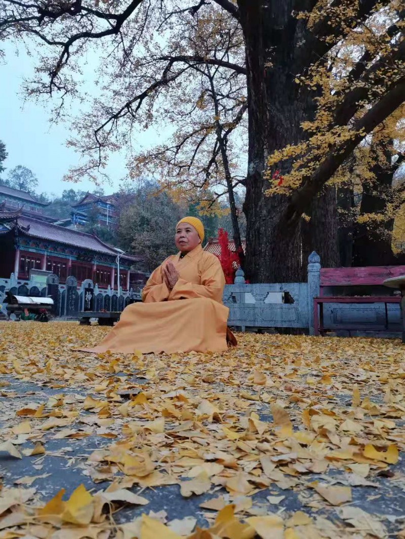 释印来法师三周年纪念法会在河南鲁山文殊寺举办