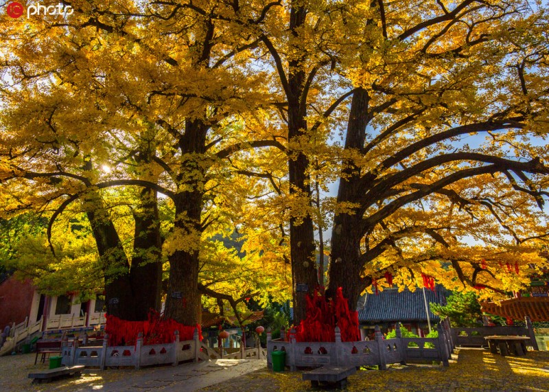 千年古刹——鲁山文殊寺