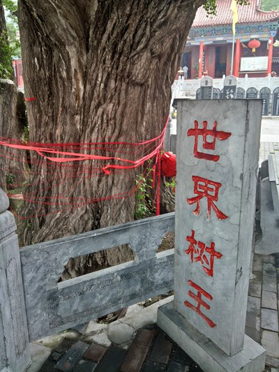 千年古刹——鲁山文殊寺