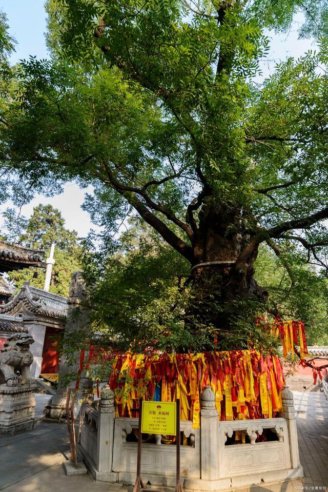 京西有座千年寺庙，授戒需要皇帝赦谕，距离北京只有70公里