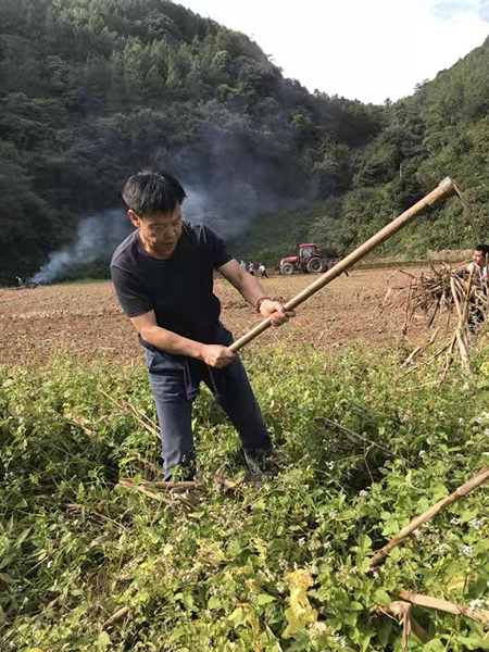 院士扶贫开出致富花——普洱“高端路线”成典范