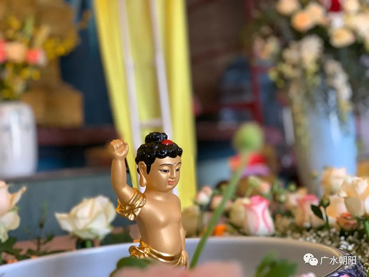 “一穷二白”的年轻僧人，让600年古庙“活”了过来