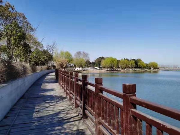 周家鸿手机拍图——淮水春光